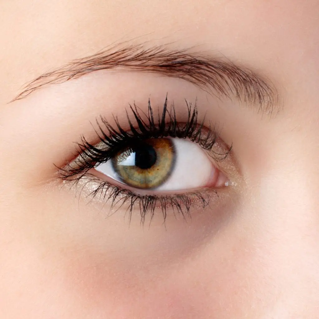Special occasion makeup artist